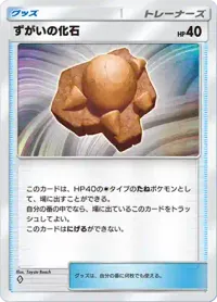 zugainokaseki